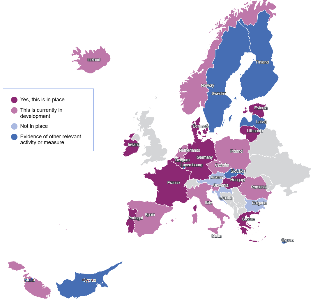 EU map showing data from the 2025 BIK Policy monitor (dimension '2-BIK+ Actions', topic '1-Safe digital experiences', item '3.8-Laws regarding age verification').