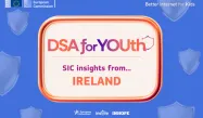 DSA for YOUth SIC insights from Ireland