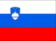 Slovenia flag