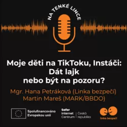 Podcast: "My children on Tiktok, Instagram: Give Like or be careful?"