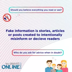 Fake Information