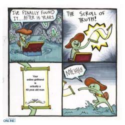 Safer Internet Use - memes