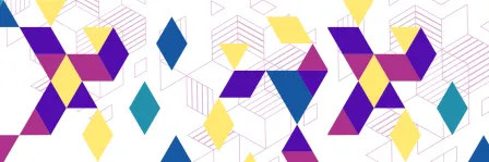 Coloured diamond squares, following the visual identity of the DSA booklet