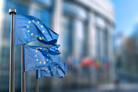 European Commission flags.
