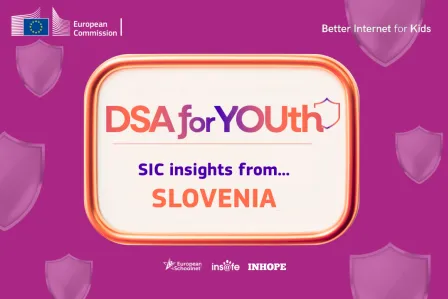DSA for YOUth SIC insights from Slovenia