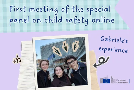 First meeting of the special panel on child safety online