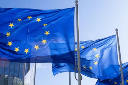 Photo showing the flag of the European Union