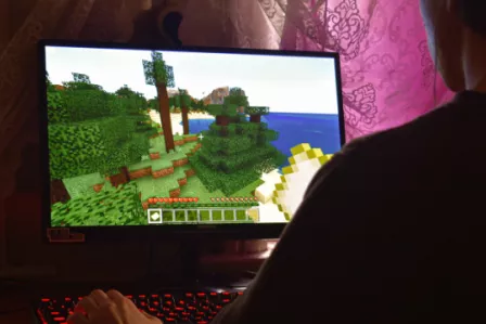 Boy playing computer game
