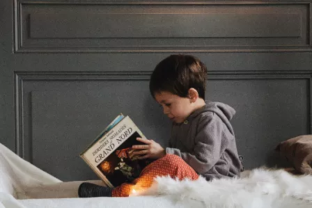 Boy reading a book