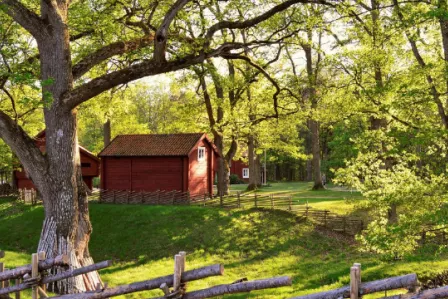 Wooden cabin in a forest setting