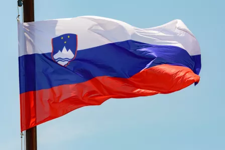 Slovenian waving flag