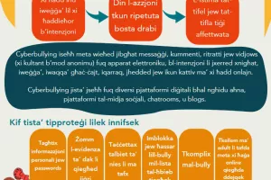 This image shows the Cyberbullying handout that was created for dissemination.