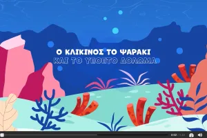 The image shows a colorful underwater scene with corals and rocks