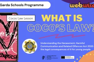 Image of Presentation Cover: What is Coco’s Law Lesson?