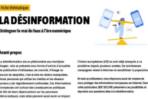 Factsheet on disinformation