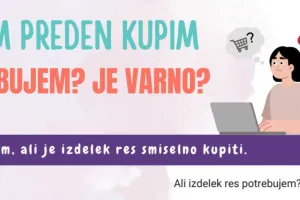 Illustrated Safe.si poster reminding users to check before buying online, showing a person using a laptop with text asking “Do I need it? Is it safe?” and a checklist for making safe purchasing decisions.