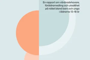 A cover of the report, in Swedish 