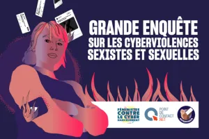 Survey on gender-based and sexual cyberviolence