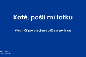 Honey, send me a picture: webinar on sexting