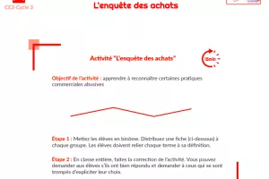 Offline awareness activity "The shopping investigation"
