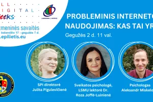 The webinar "Problematic Internet use: what is it?"