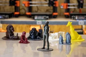 Haptic models for the ONLINE ZOO book