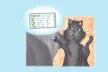 The poster features a smiling black cat pointing to a settings screen, with a light blue background.