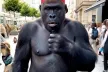 A gorilla wearing a red baseball cap, holding a microphone and doing an interview. AI-generated.