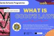 Image of Presentation Cover: What is Coco’s Law Lesson?