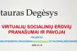 VIRTUALIŲ SOCIALINIŲ ERDVIŲ PRANAŠUMAI IR PAVOJAI