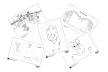 Worksheets for the book ON-LINE ZOO